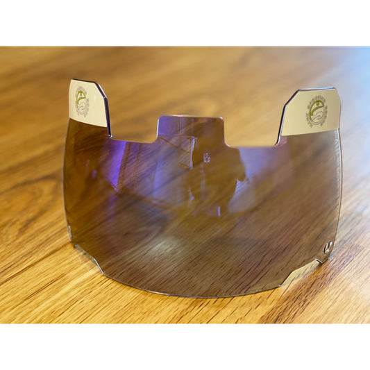 MSG Blue Plate Clear Visor w/clips